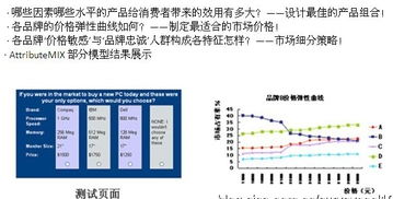 數字100市場研究公司的新產品測試服務內容